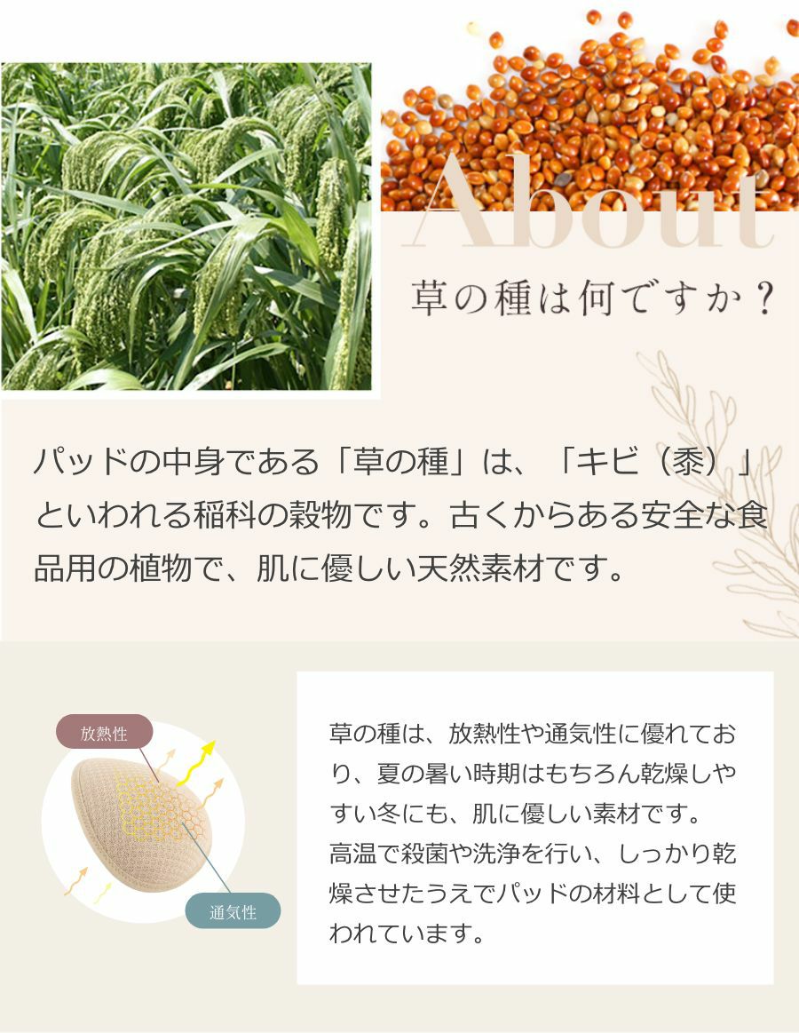 乳がんパッド 天然素材の草の種パッド　草の種は何ですか？